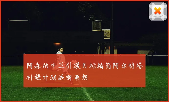 阿森纳中卫引援目标精简阿尔特塔补强计划逐渐明朗